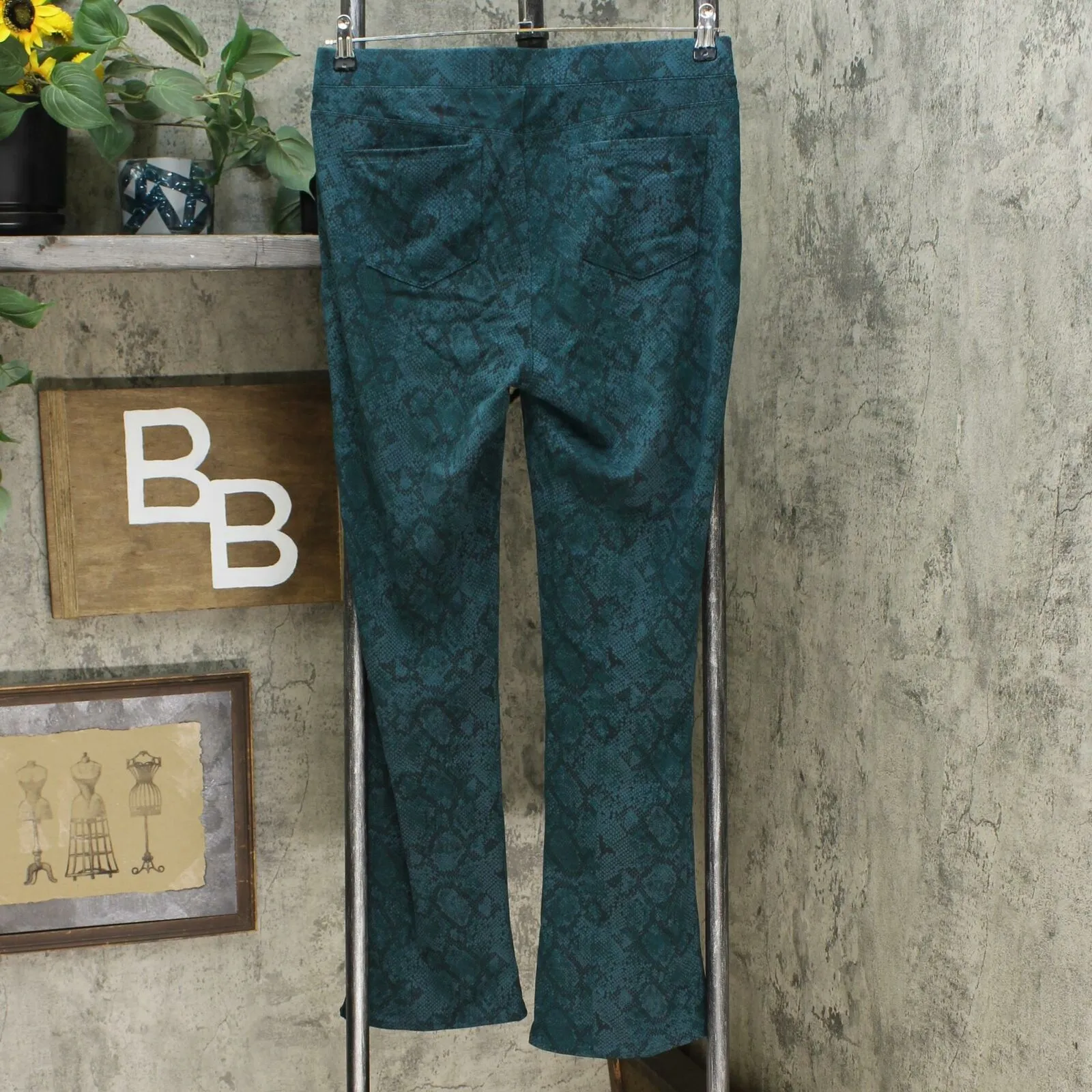 DG2 by Diane Gilman Pull-On Stretch Ponte Boot Cut Pants Green Snake Medium