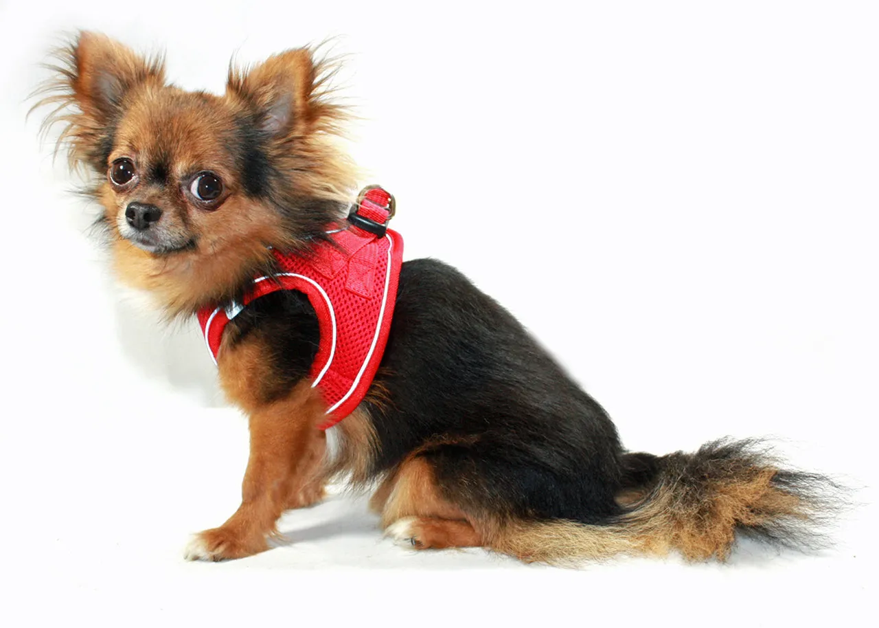 Reflective Sport Mesh Harness