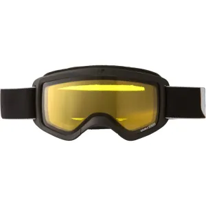 Skiing and Snowboarding Mask