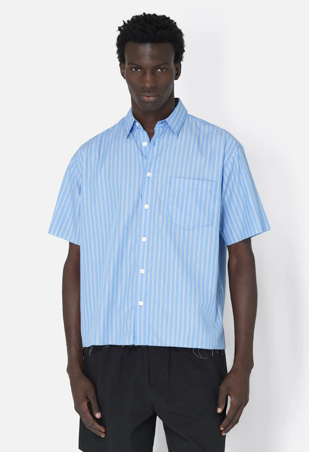 Stripe Poplin SS Hemi / Blue x Black